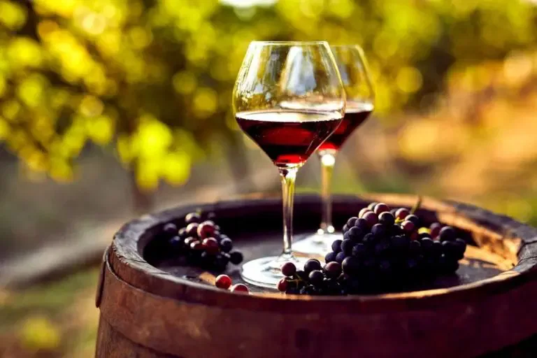 The Amazing Wine Aerator and Decanter