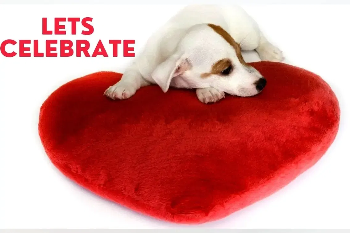 Gifts for wine lovers