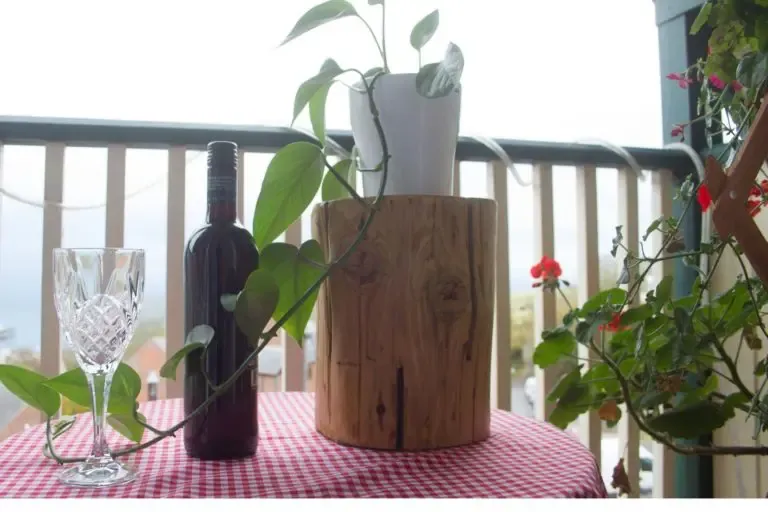 Top 5 Luxury Gifts for Wine Lovers on Mothers Day