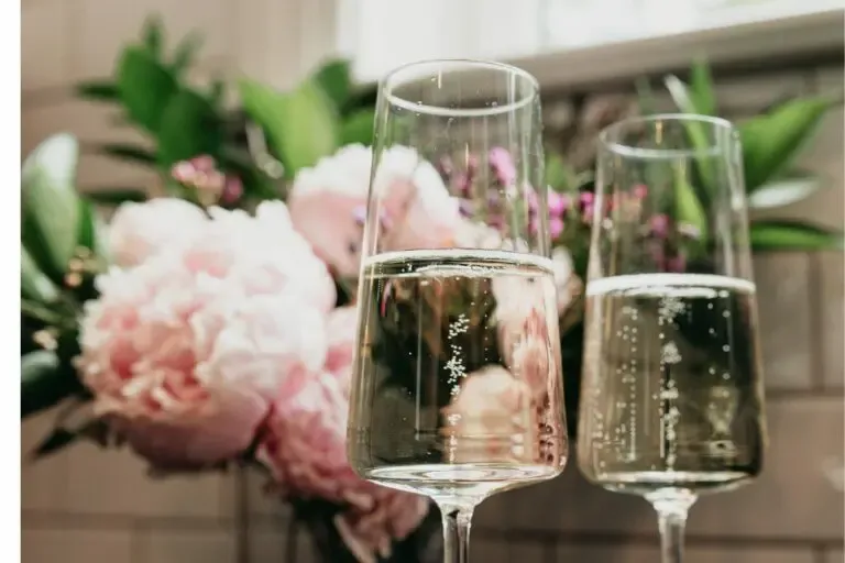 Luxury Crystal Wine Glasses for Wine Tasting: